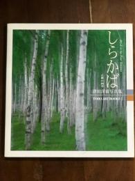 しらかば　白樺の四季　津田洋甫写真集