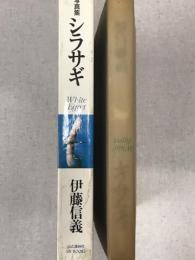 White Egret　シラサギ