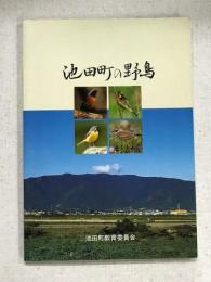 池田町の野鳥