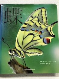 蝶