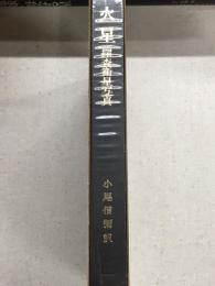 火星　探査衛星写真