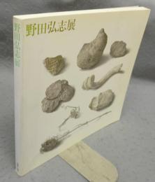 野田弘志展　明晰なる神秘（図録）