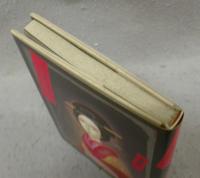 ぶっちんごまの女　花魁だった祖母と、母の半生