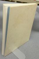 コンコルド広場の椅子