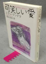 可笑しい愛　集英社文庫