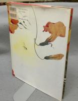 みすゞ憧憬　中島潔作品集