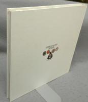 OTOMO KATSUHIRO ARTWORK KABA 2: 1990-2011 Illustration Collection　オオトモカツヒロアートワーク　カバ2