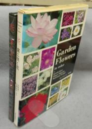 花　庭に咲く花