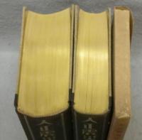 大正震災志　上下2巻揃い　付図共