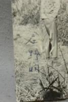 旅人の喜び　特製限定本