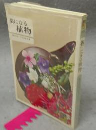 薬になる植物　カラーブックス238