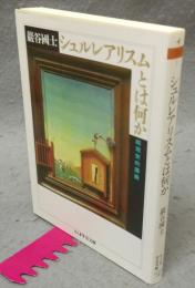 シュルレアリスムとは何か　超現実的講義　ちくま学芸文庫