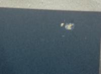 日本仏教文化史