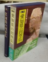 定本　愛知県の円空仏