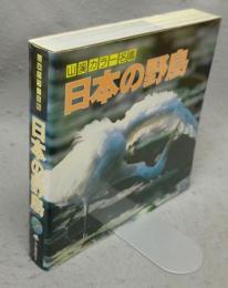 日本の野鳥　山渓カラー名鑑
