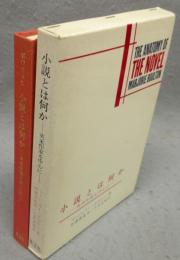 小説とは何か　英米作家を中心に