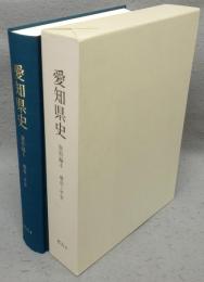 愛知県史　資料編4　考古4　飛鳥～平安