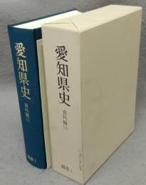愛知県史　資料編11　織豊1