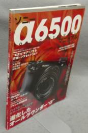 ソニー α6500 マニュアル　日本カメラMOOK