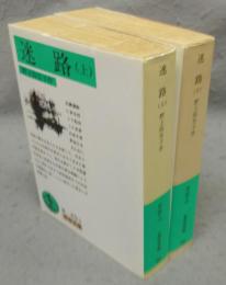 迷路　上下2巻揃い　岩波文庫　緑49-1・2　改版