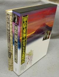 甲信・東海ふるさと大歳時記 角川版ふるさと大歳時記3