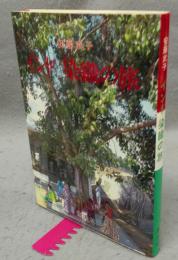 インド染織の旅