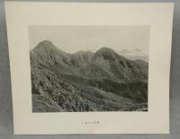 高山植物写真図聚　全2集揃い