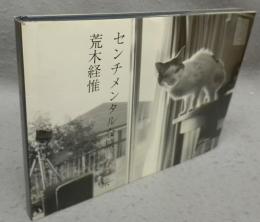 センチメンタルな旅　春の旅