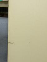 書道芸術　全24巻揃い　本巻20冊＋別巻4冊