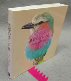 世界の美しい鳥