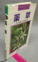 薬草　山渓フィールドブックス12