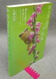 田んぼで出会う花・虫・鳥　農のある風景と生き物たちのフォトミュージアム