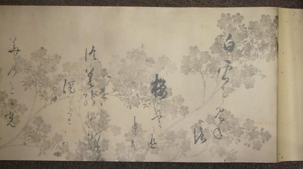 光悦書宗達画 四季草花絵巻 複製(本阿弥光悦書 俵屋宗達画