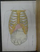 診断図説並二図式