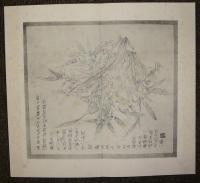 亦復一楽