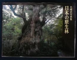 日本の原生林　水越武写真集
