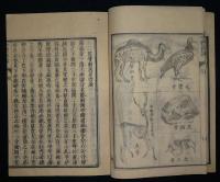 全體新論　乾坤　全2冊揃い