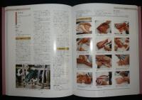 肉・野菜料理事典　全6巻揃い