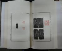 丁丑劫余印存　上下2巻揃い