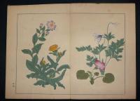 四季の花　全10冊の内夏之部4欠　9冊