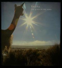 Vicuna: The Queen of the Andes