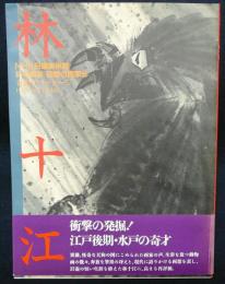 奇想のメッセージ　林十江　NHK日曜美術館/幻の画家　回想の画家5