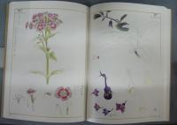 栗原慶果　花卉素描集