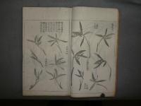名人蘭竹画譜　全2冊