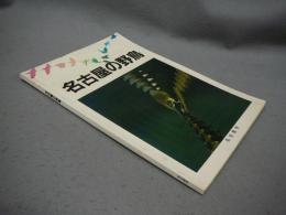 名古屋の野鳥　1986