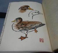 定本　屋根の上のサワン