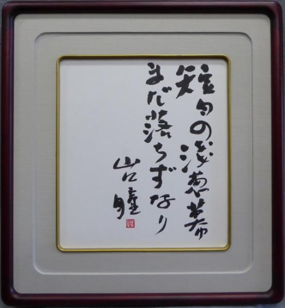 真宗教学の実践的研究(寺倉襄) / こもれび書房 / 古本、中古本