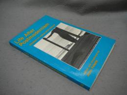 Life After Postmodernism: Essays on Value and Culture