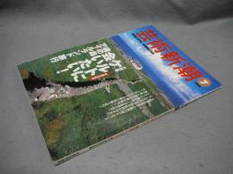 芸術新潮　1998年7月号　大特集：ケルトに会いたい！魂の島アイルランドの旅