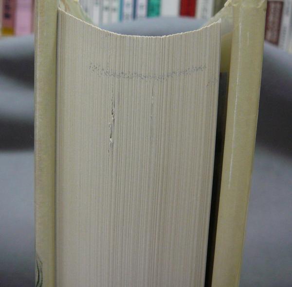 Leonard Tsuguharu Foujita Sa Vie, Son Oeuvre Volume 2(Sylvie